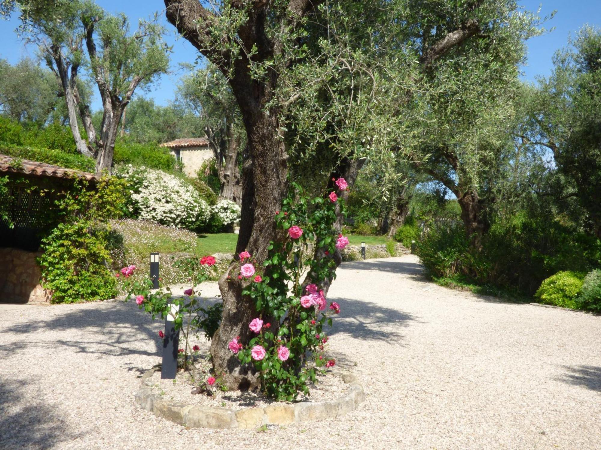Chateauneuf-Grasse Apartment Picasso In Large Park With Heated Pool מראה חיצוני תמונה